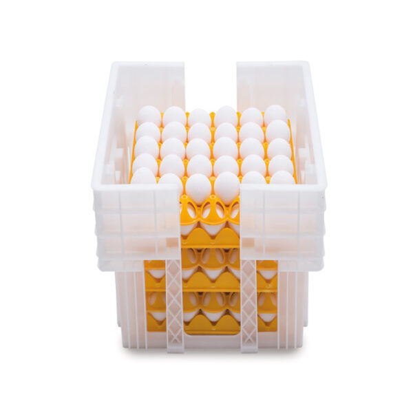Eggs transport crate OVOBOX 180