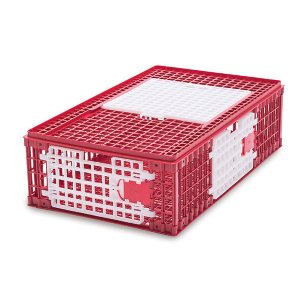 Small transport cage for chickens MOD. A