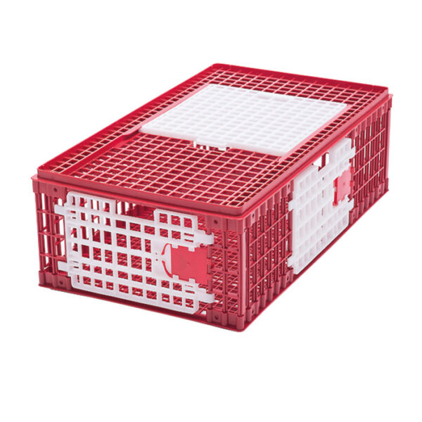 Large transport crate for chickens MOD. B