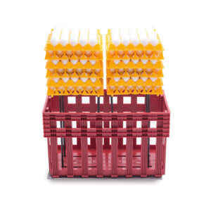 Funzionamento piattaforma carico/scarico uova EGGS-T