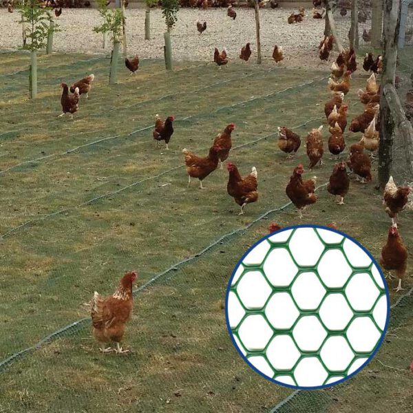 Ground protection mesh for chicken coops EXAGON