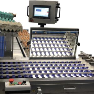 Lampada di speratura Selezionatrice E12