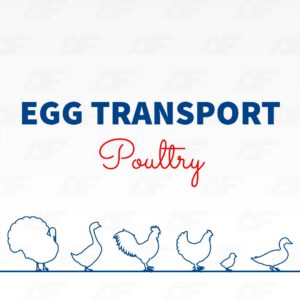 Egg transport