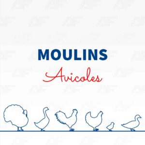 Moulins